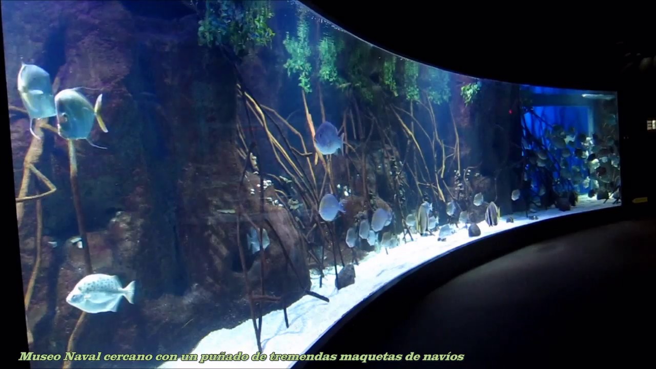 Aquarium de Donostia — foto 4