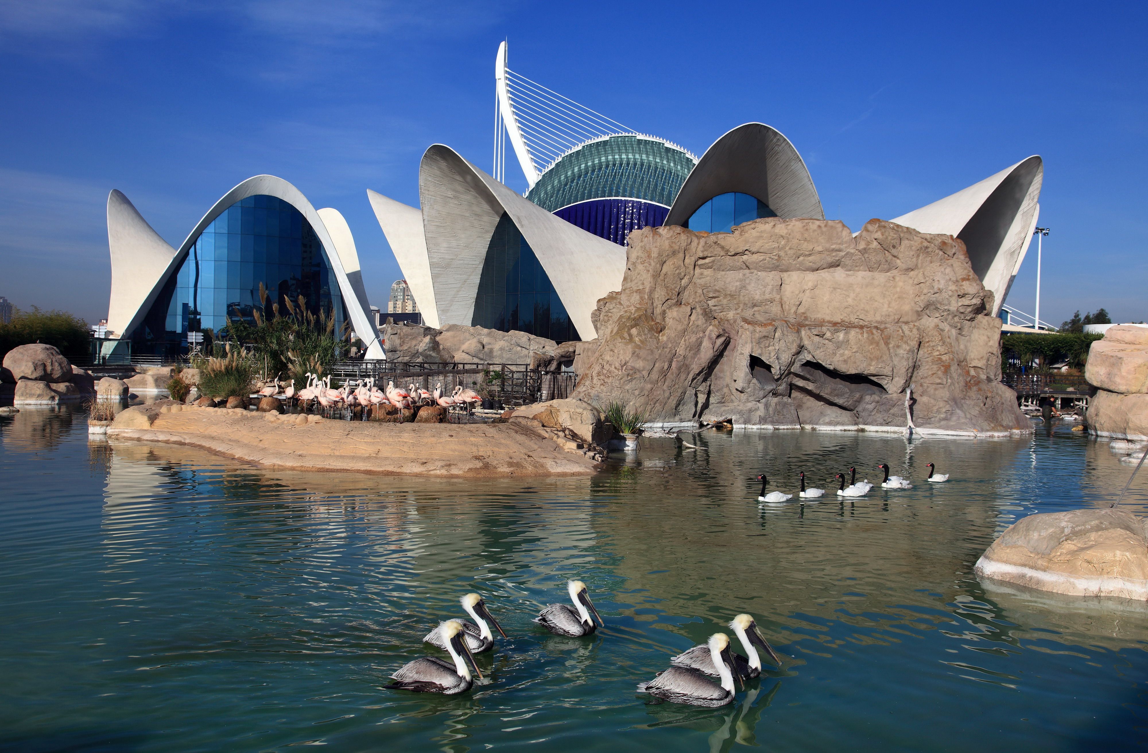 Ciudad de las Artes y las Ciencias — foto 4