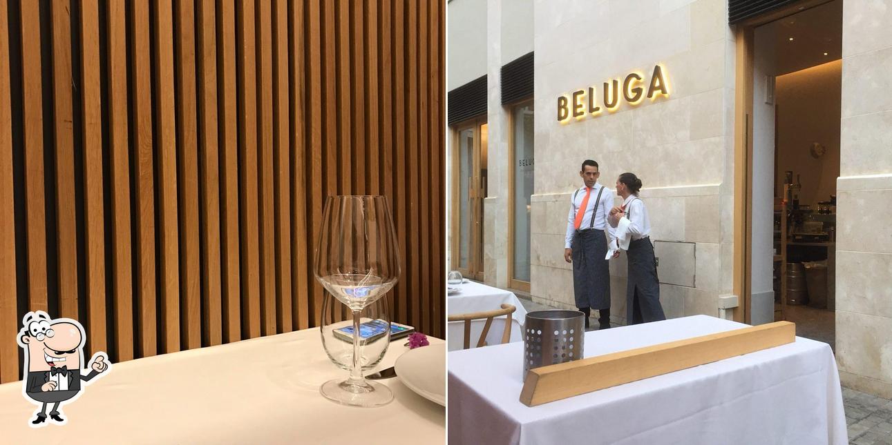 Beluga — foto 3