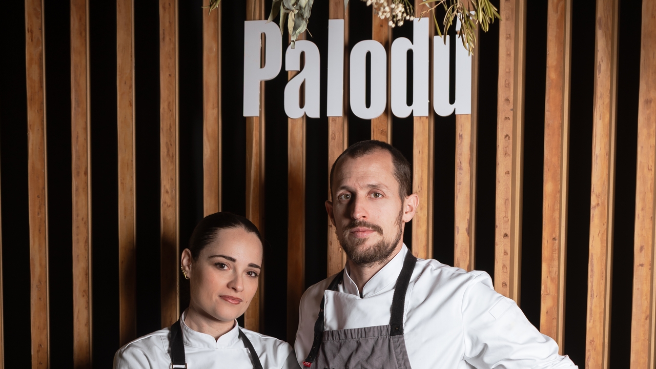 Palodu — foto 5