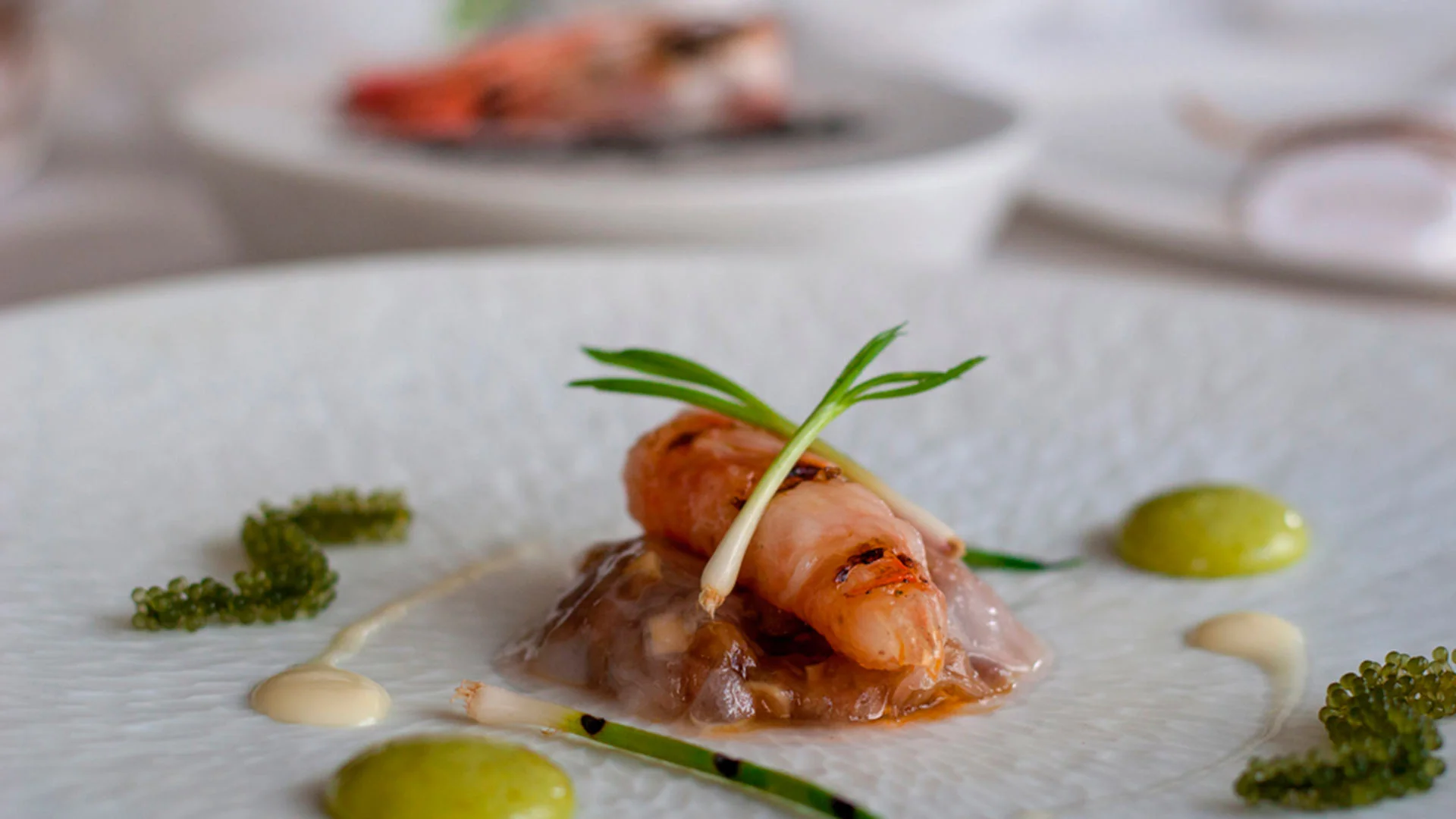 Skina (Marbella) — foto 2