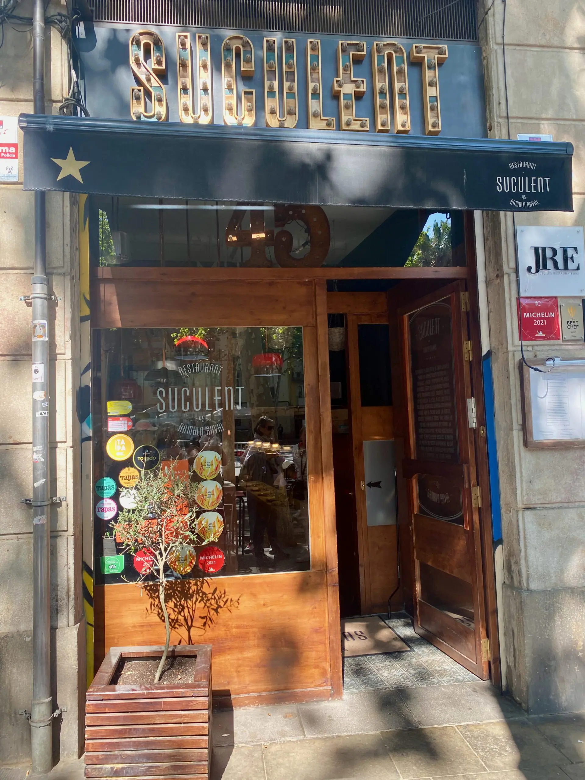 Suculent — foto 2