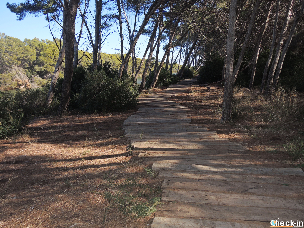Vuelta a la Albufera — foto 3