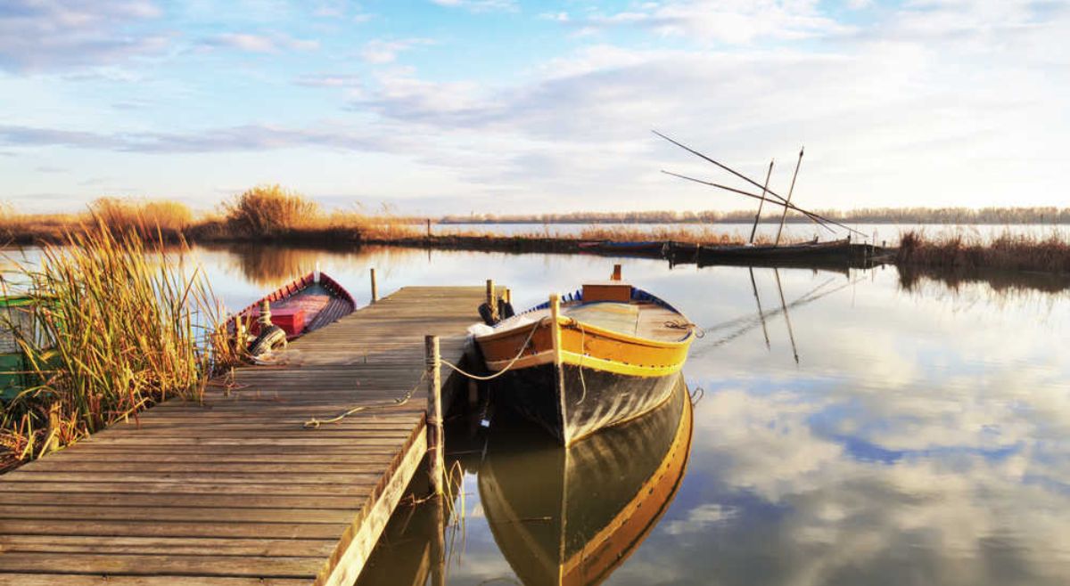 Vuelta a la Albufera — foto 4