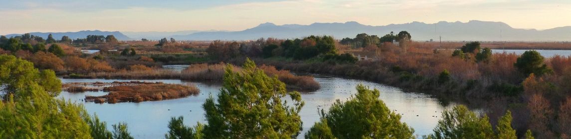 Vuelta a la Albufera — foto 5