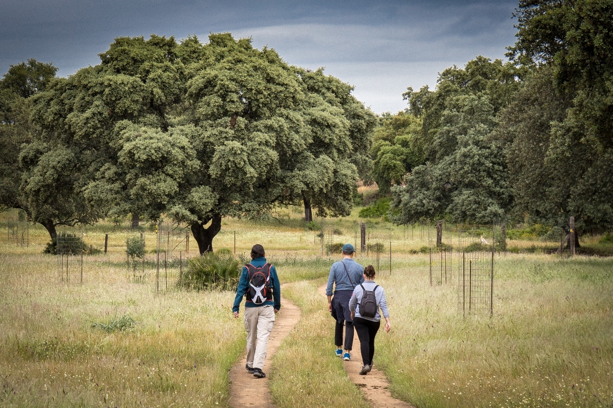 Camino Romano de Carmona — foto 2