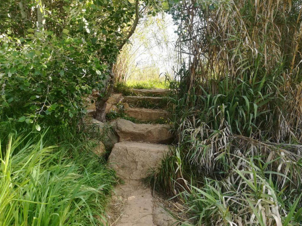 Camino Romano de Carmona — foto 5