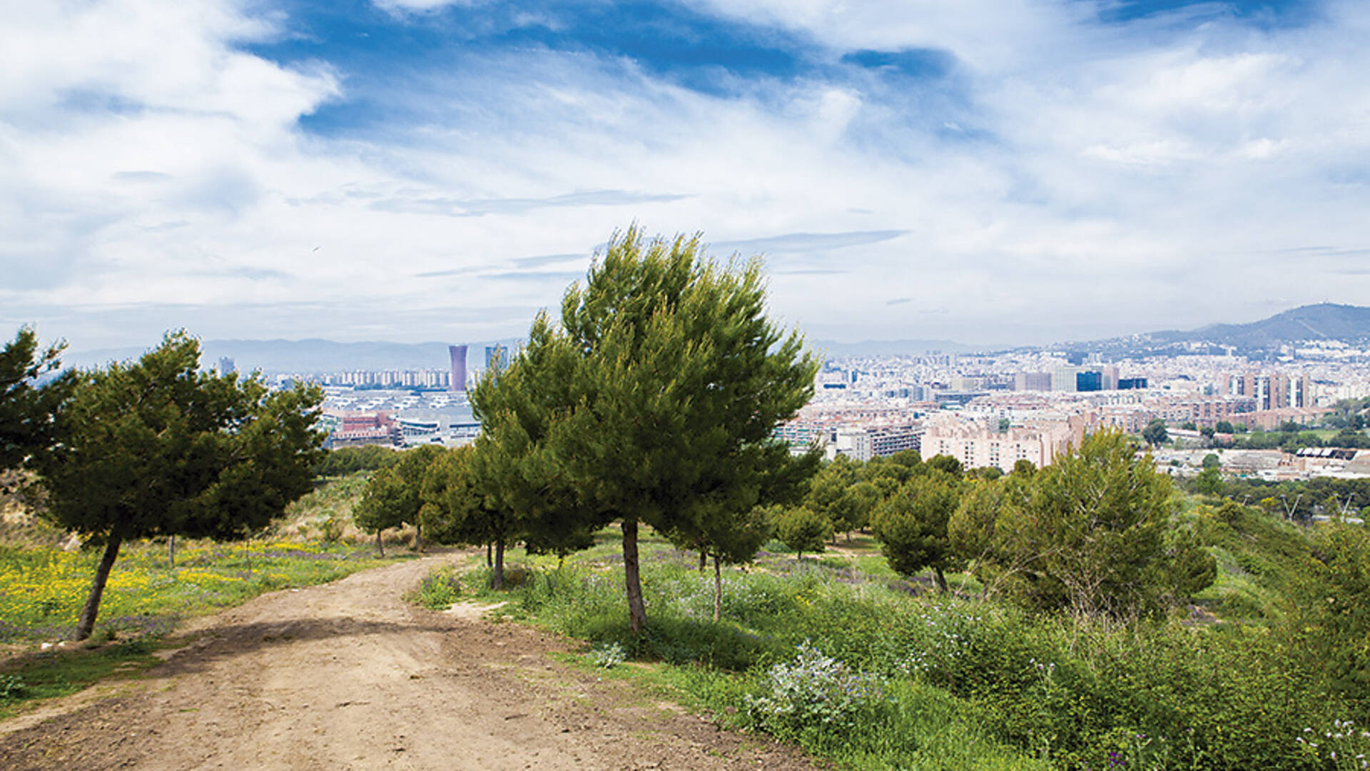 Montjuic completo — foto 3