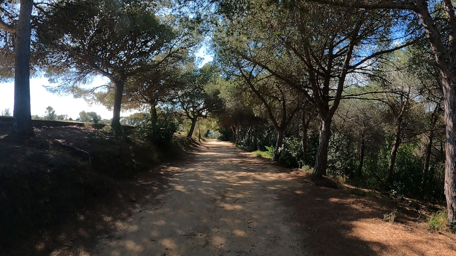 Montjuic completo — foto 4