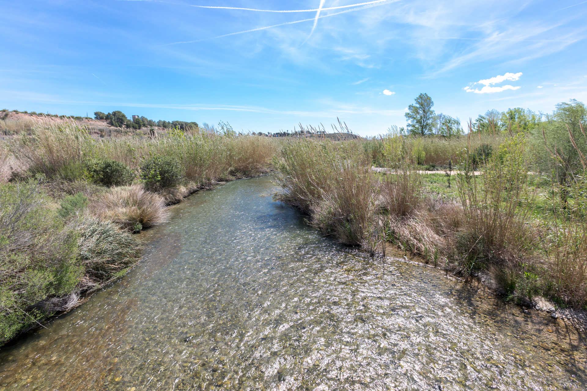 Parque Fluvial del Turia — foto 4