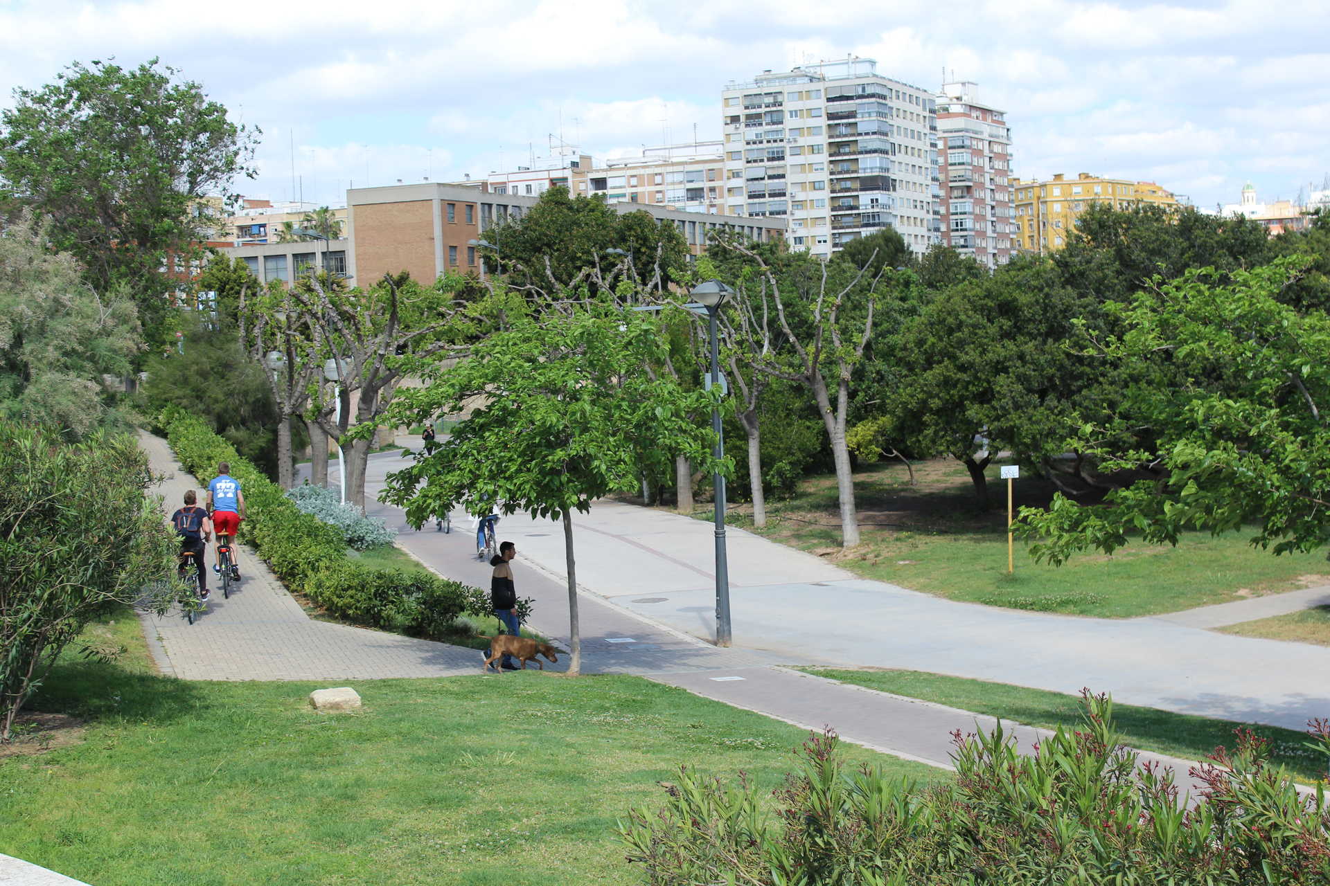 Parque Fluvial del Turia — foto 5