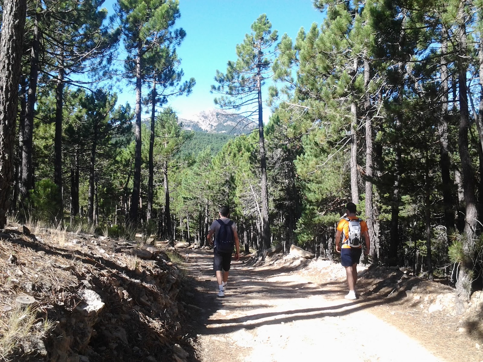 Penyagolosa — foto 3