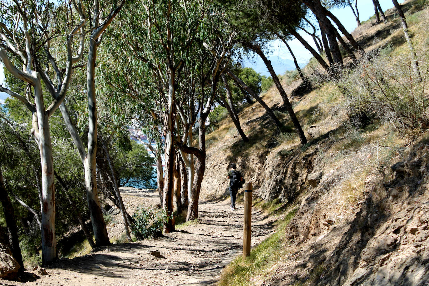 Sendero del Mediterraneo — foto 3
